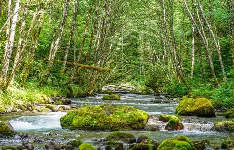 Zig Zag River Stock Photos