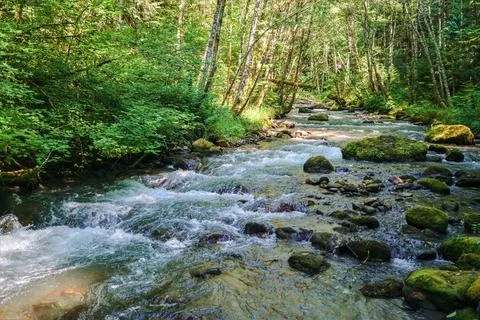 Zig Zag River Stock Photos