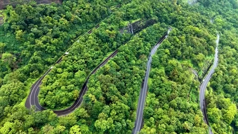Zig Zag Road with Green Nature view. Vidéo 280460783