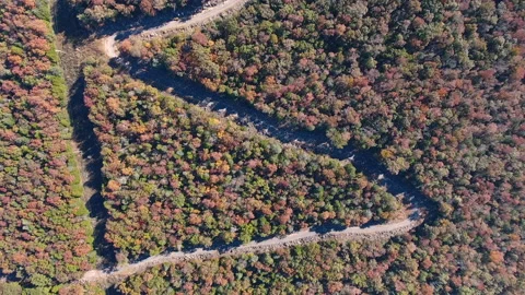 Zig zag road through trees drone Video stock 165998811