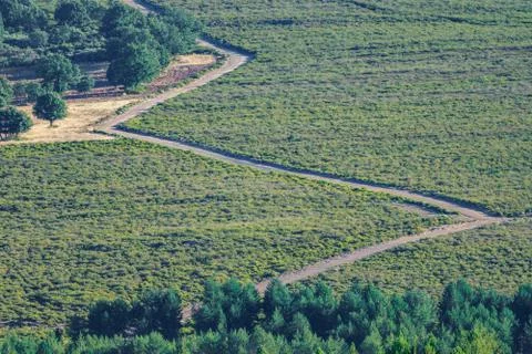 Zig Zag track 스톡 사진