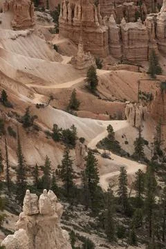 Zig Zagging Trail Up the Slope of Bryce Canyon Stockfoto's