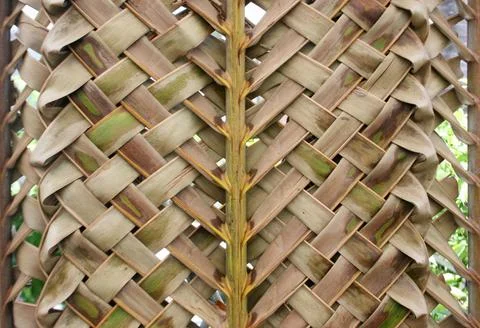 Zigzag interlocking of coconut leaves Stock Photos