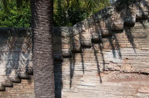 Zigzag masonry and palm tree Stock Photos