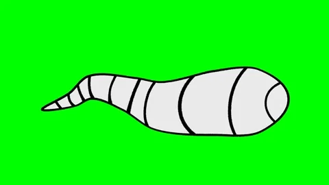 Zigzag movement of snake or lizard or black and white sperm to the right at high Stock Footage 285950996