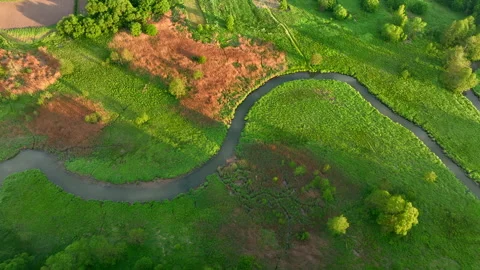 Zigzag River in the wild. Aerial view of small river in green field Stock Footage 197109719