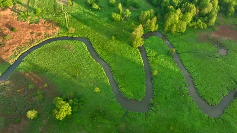 Zigzag River in the wild. Aerial view of small river in green field 스톡 동영상 197109802