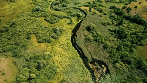 Zigzag River in the wild. Resources and Ecosystem. Vídeo Stock 161416972