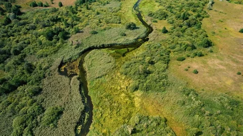 Zigzag River in the wild. Resources and Ecosystem. Stock Footage 167380341