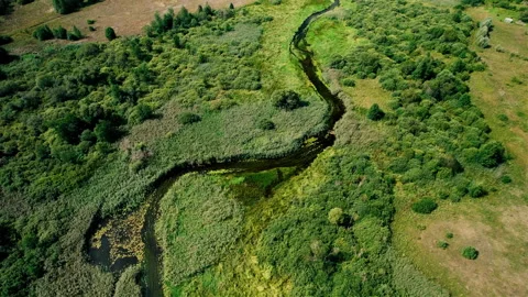 Zigzag River in the wild. Resources and Ecosystem. 스톡 동영상 167382354