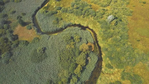 Zigzag River in the wild. Small river in green field and forest in swamp. Видео 167035153