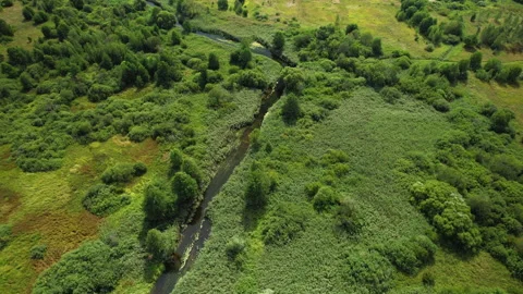Zigzag River in the wild. Small river in green field and forest in swamp. Stock Footage 167035597