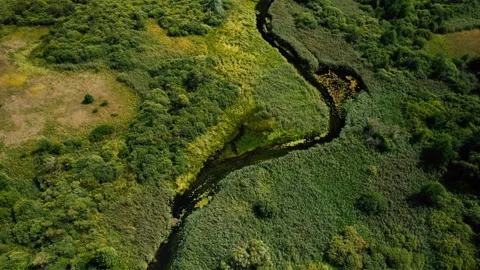 Zigzag River in wild. Water supply. Stock Footage 167558974