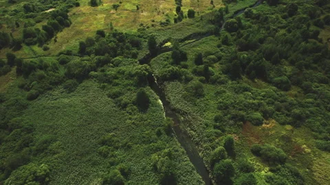 Zigzag River in wild. Water supply. Small river in field and forest Stock Footage 219826044