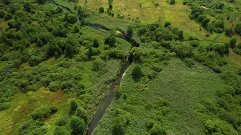 Zigzag River in wild. Water supply. Small river in field and forest Видео 219826051
