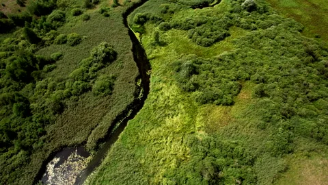 Zigzag River in wild. Water supply. Small river in field and forest Vidéo 219826054