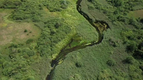 Zigzag River in wild. Water supply. Small river in field and forest Video stock 219826294