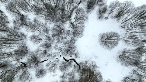 Zigzag River in winter snow, top view. Small river in winter forest Stock Footage 226932714