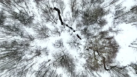 Zigzag River in winter snow, top view. Small river in winter forest Stock Footage 226937052