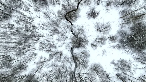 Zigzag River in winter snow, top view. Small river in winter forest Stock Footage 226937688