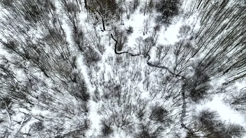 Zigzag River in winter snow, top view. Small river in winter forest Stock Footage 226981633