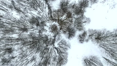 Zigzag River in winter snow, top view. Small river in winter forest Stock Footage 226986464