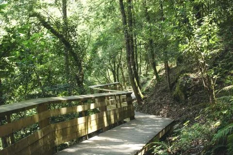 Zigzag wooden walkway found in Arouca municipality. Paiva Walkways in Aveiro Stock Photos