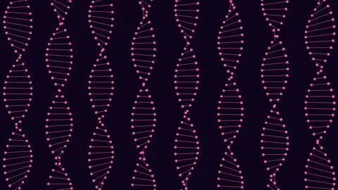 Zigzagging pink lines form eye-catching pattern on black background Stock Footage 285684387