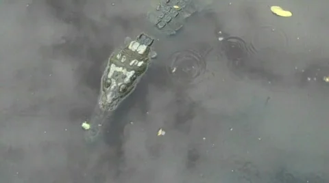 Zihuatanejo Vidéo 648470