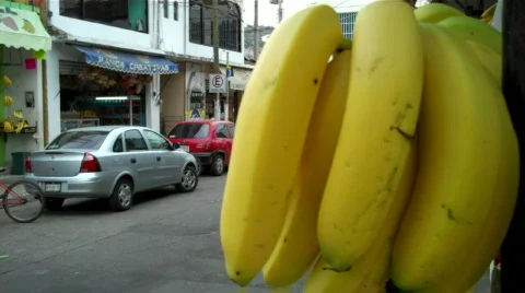 Zihuatanejo Vidéo 648510