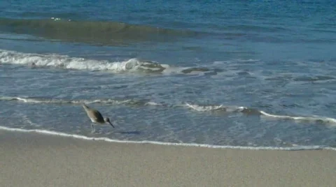 Zihuatanejo Vidéo 648585