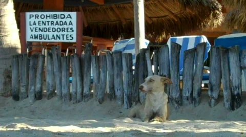 Zihuatanejo Vídeos de archivo 648728