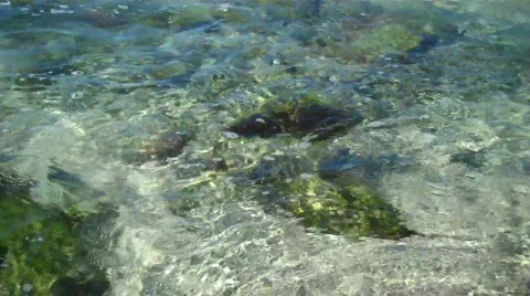 Zihuatanejo Vidéo 649888