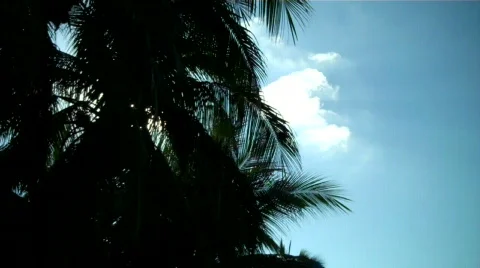 Zihuatanejo Vidéo 649933