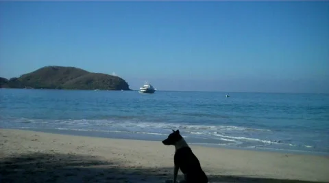 Zihuatanejo Vídeos de archivo 649978