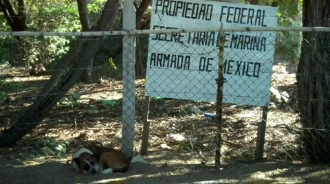 Zihuatanejo Vidéo 650002