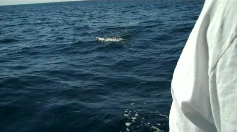 Zihuatanejo Vidéo 650643