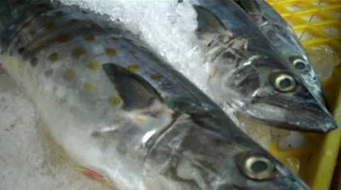 Zihuatanejo Vidéo 650648