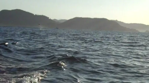 Zihuatanejo Vídeos de archivo 650660