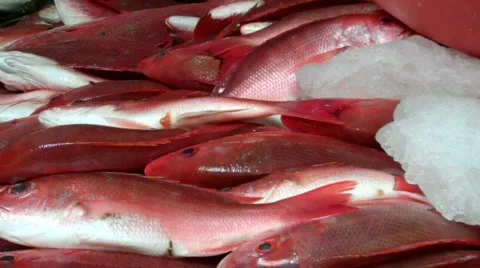 Zihuatanejo Vidéo 650693