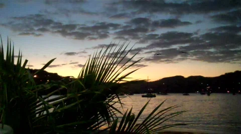 Zihuatanejo Vídeos de archivo 650714