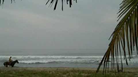 Zihuatanejo Vidéo 650802