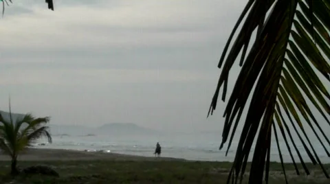 Zihuatanejo Vídeos de archivo 652262