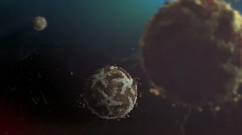 Zika or Dengue Virus structure in photo realistic look on dark blue background Stock Footage 42305873