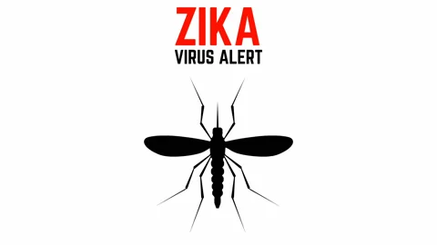 Zika virus alert. moskit with phrase zika virus Stock Footage 318112902