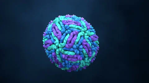 Zika virus, animation Stock Footage 178518092