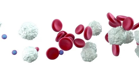 Zika virus in blood, animation Stock Footage 75604183