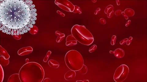 Zika virus in blood Stock Footage 75604110