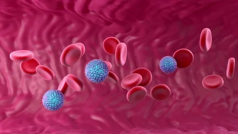 Zika virus in bloodstream, animation Stock Footage 75604152