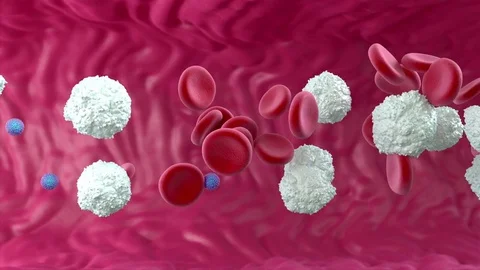 Zika virus in bloodstream, animation Stock Footage 75604180
